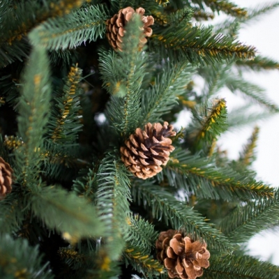 Выбор новогоднего дерева: преимущества и недостатки