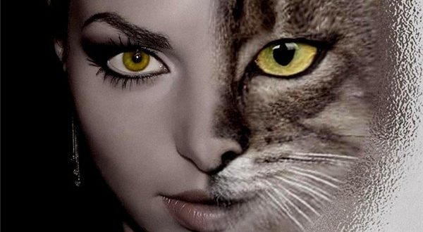 Софья Мачульская про кошачью женскую сущность