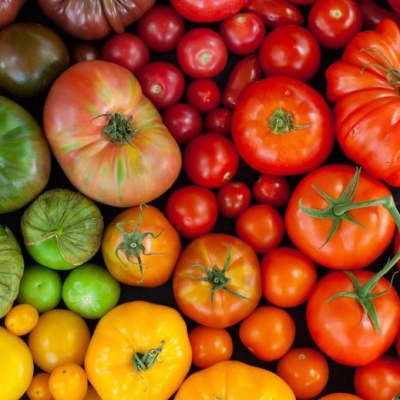 Выбор семян томатов: ключевые аспекты