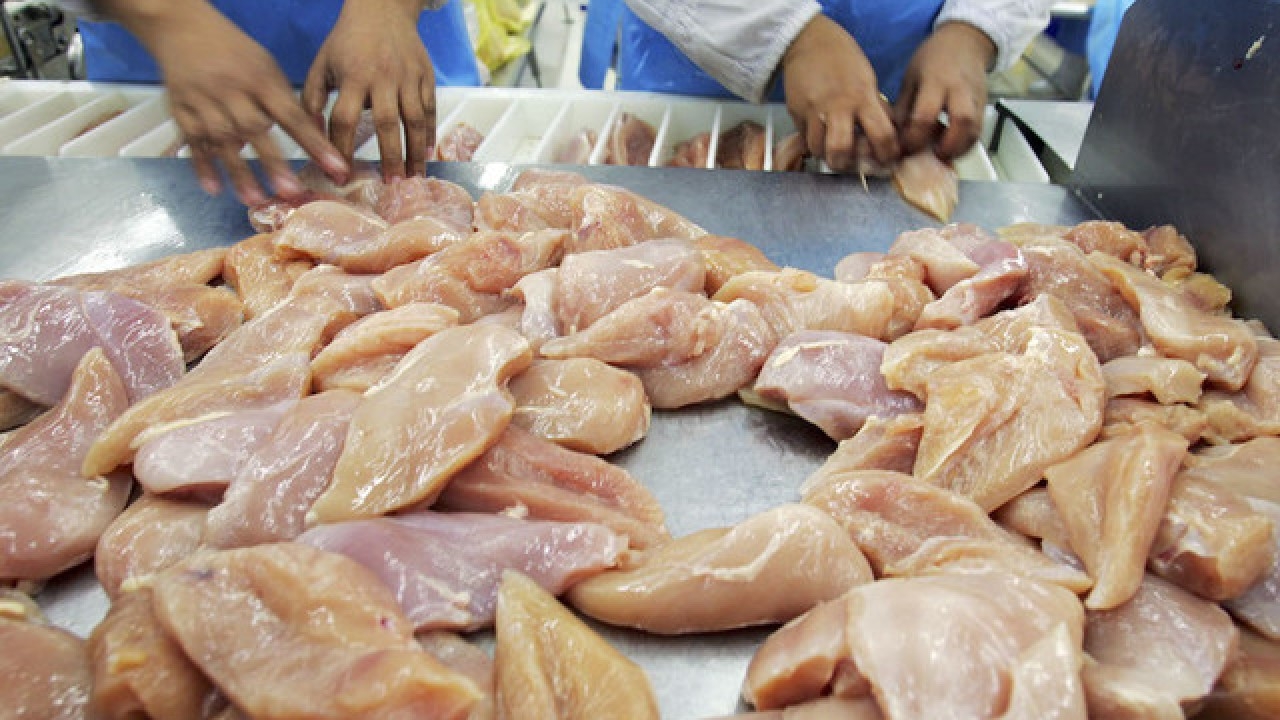 Меры предосторожности при употреблении куриного мяса