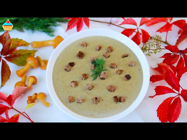 Грибной суп из лесных грибов! Быстрый рецепт крем-супа