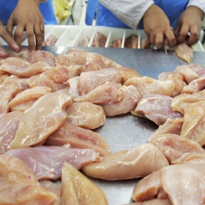 Меры предосторожности при употреблении куриного мяса