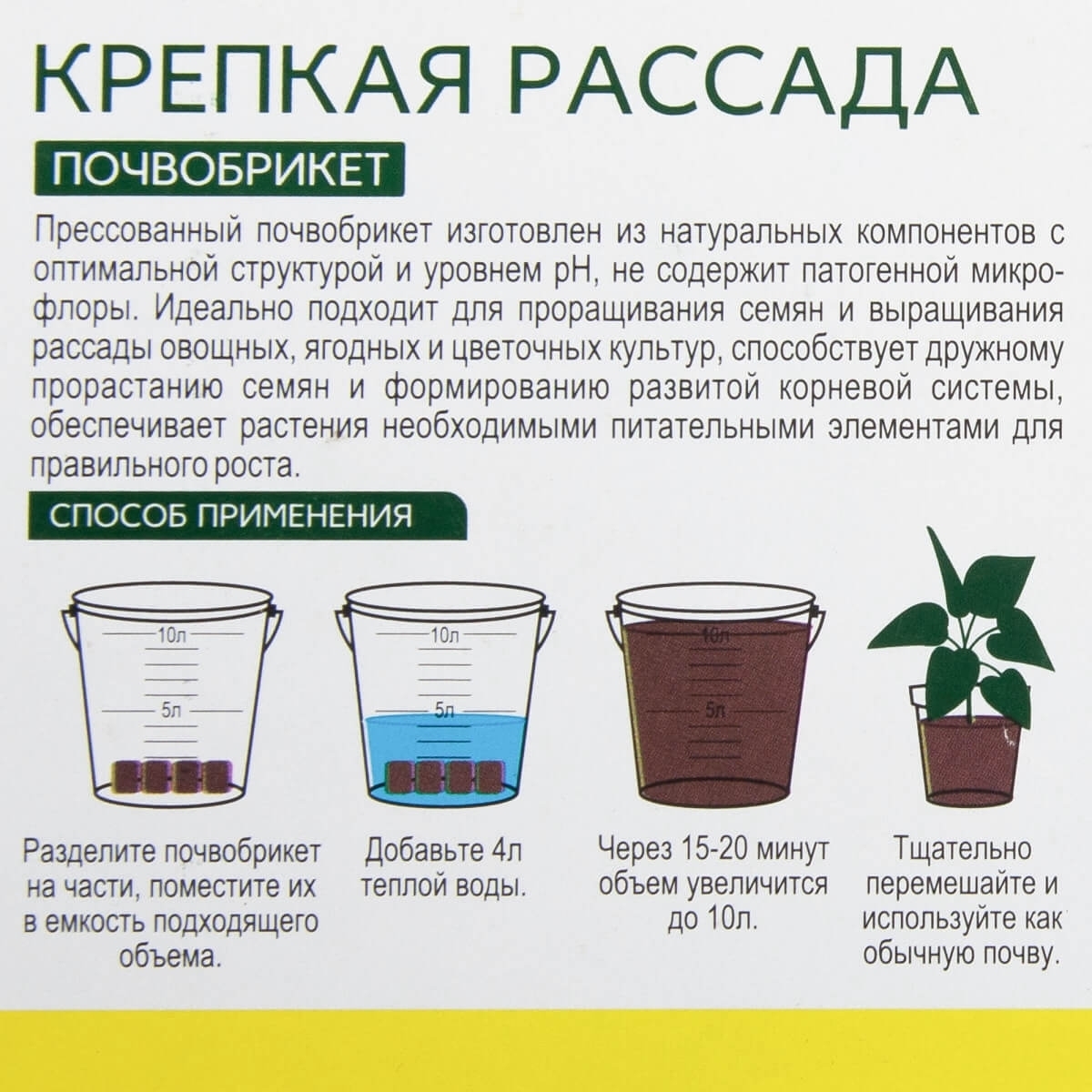 Шпаргалки для выращивания рассады: выбор контейнера, питание и другие полезные детали