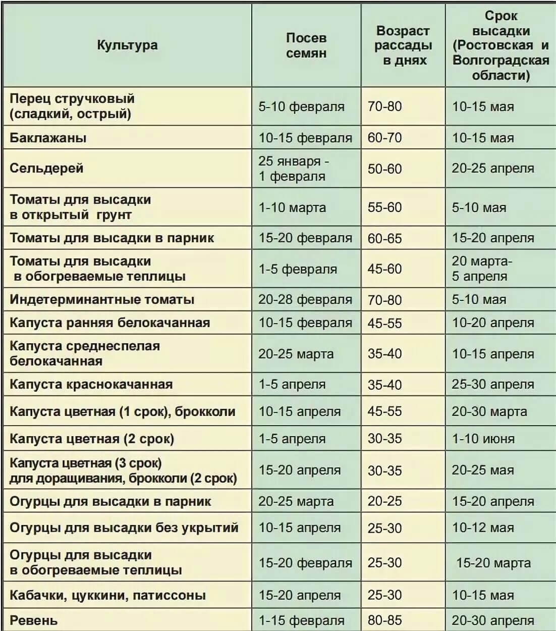 В какие дни сеять семена. Сроки высадки семян на рассаду овощей таблица. Сроки высадки рассады овощей в открытый грунт. Сроки высадки семян перца для рассады. Сроки посева семян и высадки в открытый грунт рассады.