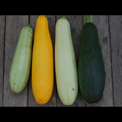Вот это Кабачки! Готовлю всё лето. Вкусно до безумия