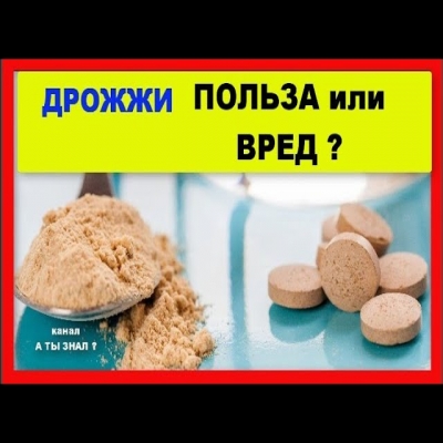 Пивные дрожжи польза или вред?