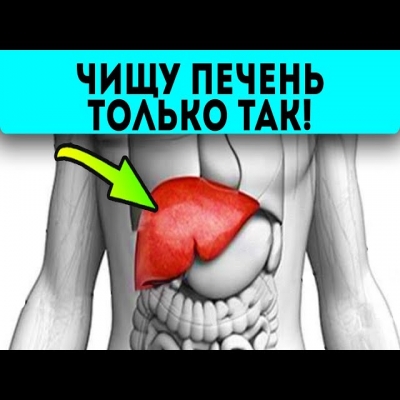 Думаете, врачи это знают? Эти простые травы чистят печень лучше дорогих лекарств
