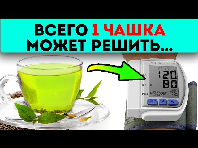 Теперь знаю, как правильно пить! Зеленый чай сделает чудо с твоим здоровьем, если заваришь так
