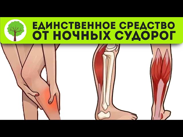 Как только сводит икры, хватай обычный... Ночные судороги ног, тянет ноги