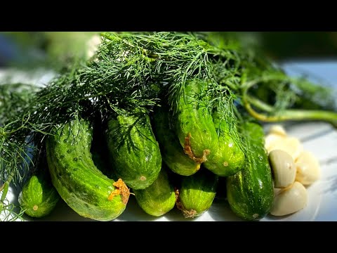 Малосольные огурцы в пакете с чесноком и укропом. Быстрый рецепт огурцов