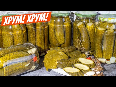 Эти огурцы на зиму без стерилизации! Погреб не нужен! Вкуснее чем маринованные огурчики!