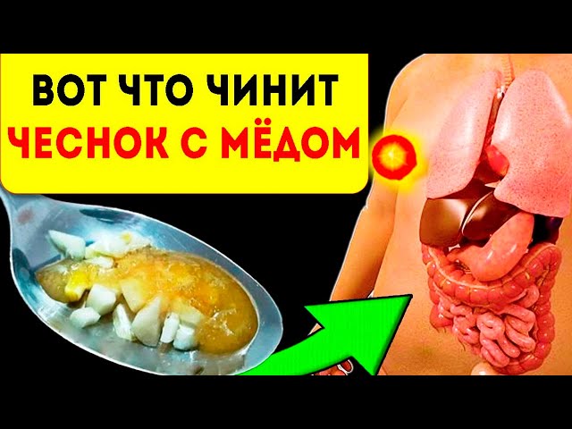 Ешьте чеснок с медом натощак, результат уже завтра! Вот что с вами случится