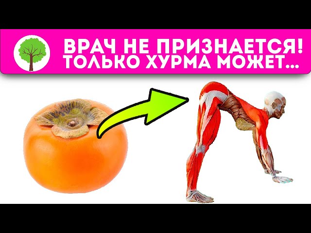 Вот что будет, если сделать так с хурмой! Щитовидка, ЖКТ и даже...