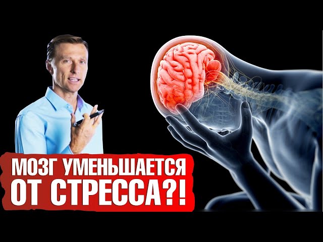 Как стресс влияет на мозг? 6 действенных способов защиты мозга от стресса