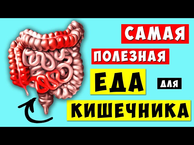 Ешь эти 10 продуктов и кишечник будет работать как часы!