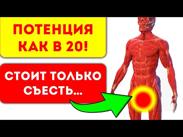 Всегда смотрит вверх! Продукты повышающие мужскую потенцию. Спать будет некогда
