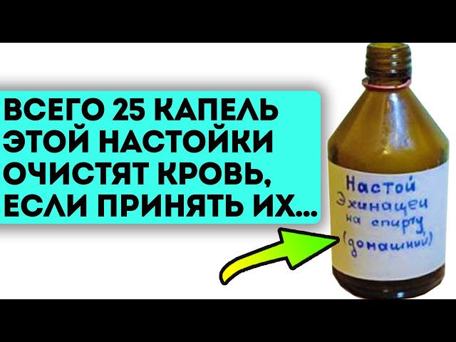 Медсестра за спиной у врача рассказала рецепт! Кровь очистилась от антибиотиков, химии, всей гадости