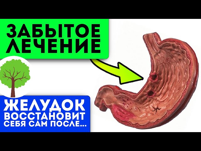Старенькая бабушка-знахарка посоветовала! Даже хронический гастрит боится настоя из...
