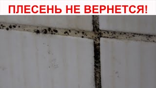 Плесень больше не вернется. Как очистить швы между плиткой от плесени простым чистящим средством
