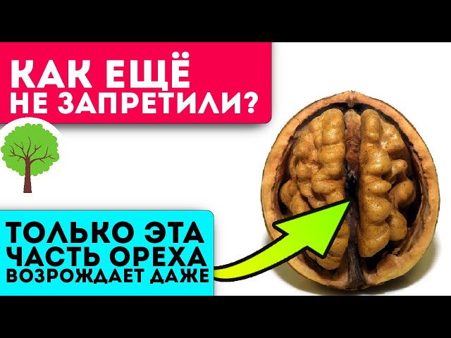 К врачам ни ногой! Настойка от простуды, болей в суставах и спине, сердце, глазах и даже...