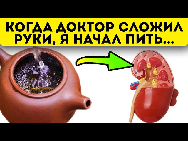 Что делать, если медицина бессильна? Для лечения почек я начал заваривать обычную...