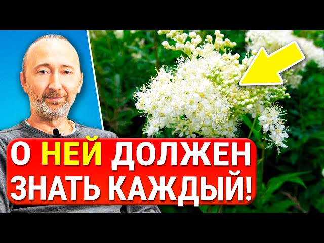 Она лечит легкие, почки, сердце, желудок и не только! Целебные рецепты из 19 века и полезная водка!