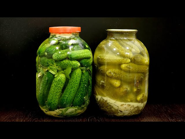 Не повторяйте моих ошибок! Огурцы соленые лучшие рецепты! Без сахара, без уксуса, без подвала!