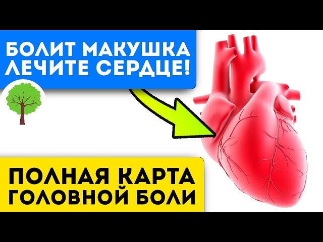 Жалею, что не знал раньше! Как избавиться от головной боли, причины