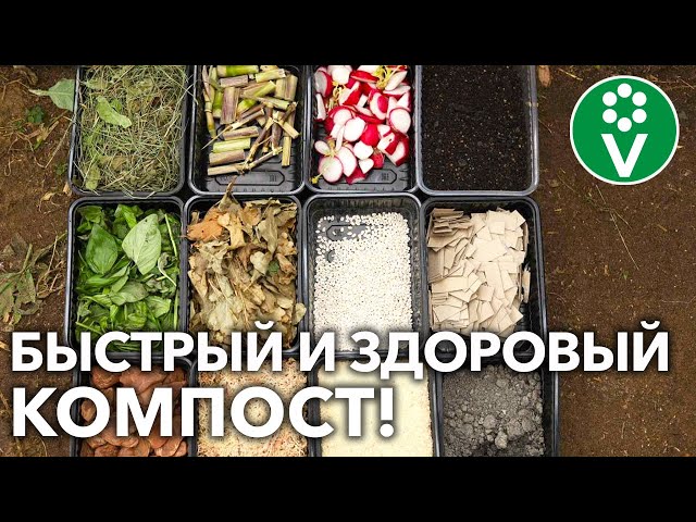 Компост созреет в разы быстрее, если используете эти компоненты!