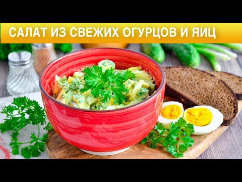 Как приготовить салат из огурцов и яиц? Быстро, просто, вкусно, на ужин и на завтрак