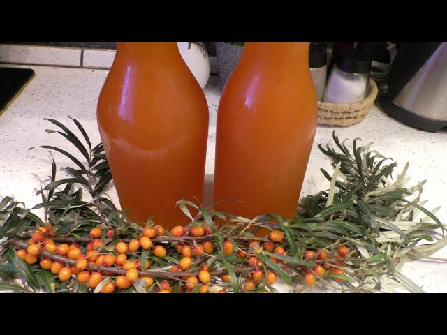 Готовлю полезный и вкусный сироп из облепихи! Без варки! Облепиха на зиму