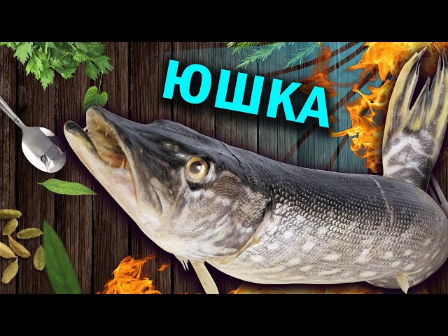 Юшка из щуки или самое вкусное в ухе