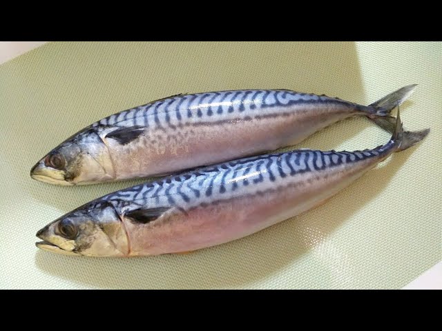 Малосольная скумбрия. Самый простой рецепт