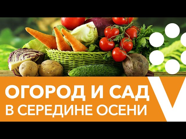 Ответы на все вопросы о выращивании овощей и уходу за садом в середине осени!