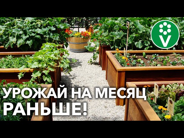 Теплые высокие грядки готовьте осенью! Вот как их сделать и применять!