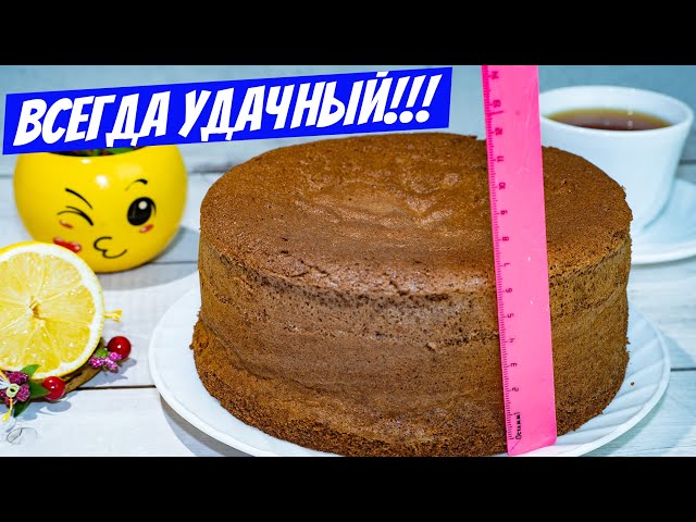 Всеми любимый, удачный рецепт выпечки бисквита: супер пышный шоколадный
