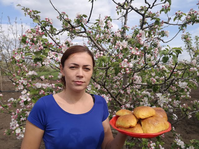 Пирожки с капустой. Пирожки в духовке. Пирожки на дрожжевом тесте