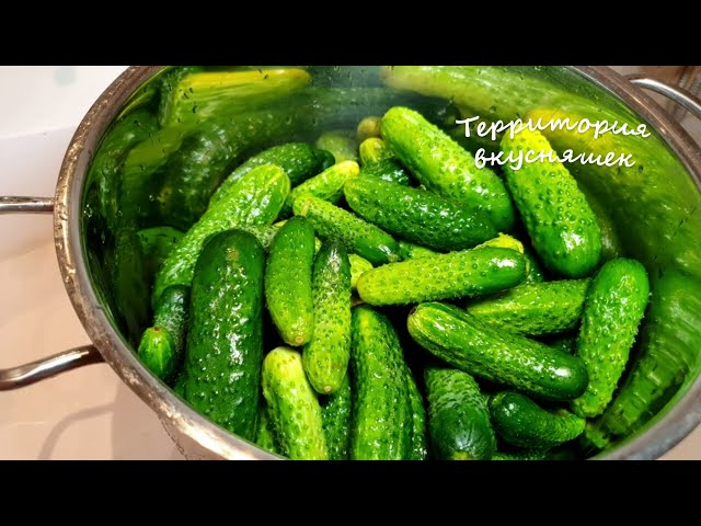 БЫСТРО! Без КИПЯТКА, без слива воды и Без ЗАБОТ! Хрустящие маринованные ОГУРЧИКИ на зиму