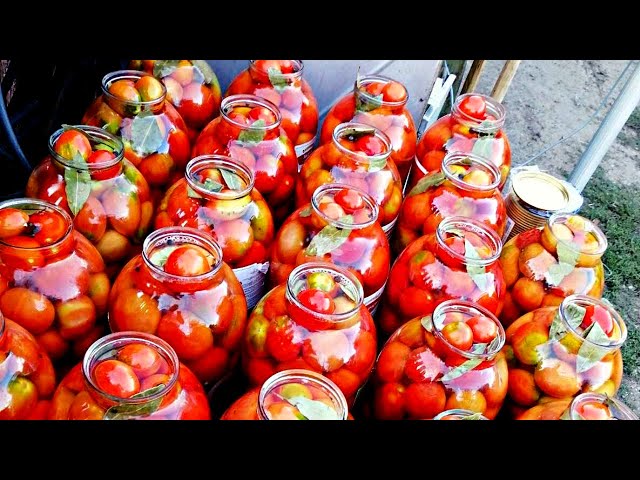 ЗИМОЙ ОБЛИЖЕШЬ ПАЛЬЧИКИ! Бабушка рассказала очень вкусный РЕЦЕПТ помидор на ЗИМУ! КВАШЕНЫЕ ПОМИДОРЫ от Вкусно Просто и Доступно