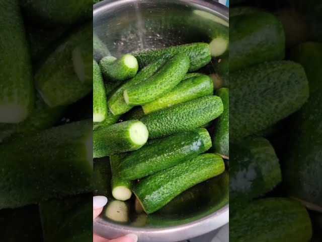 Огурцы на зиму только Так! Ядреные, хрустящие Без уксуса от Вкуснейшн с Lana ilanavi (Лана Иланави)