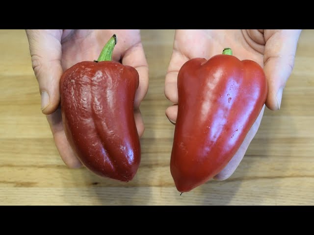 Мама научила меня, а я - всех подруг! Лучший рецепт закуски из перца от Щи да Каша