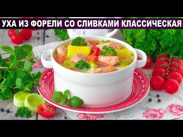 Как приготовить уху из форели со сливками классическую? Домашний вкусный и ароматный рыбный суп
