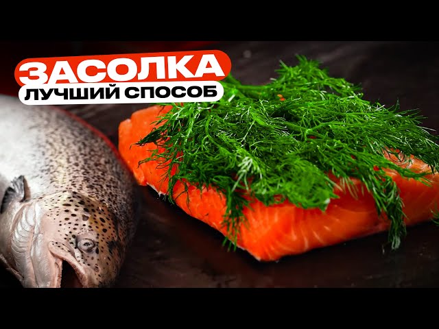 Лучший способ засолки лосося