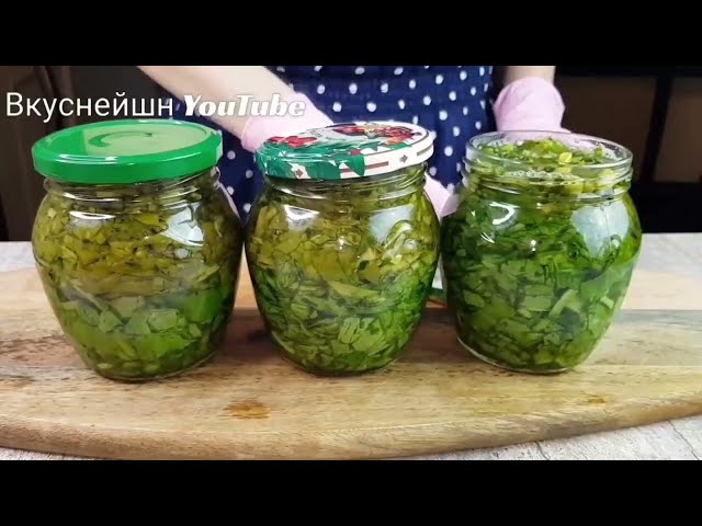 Щавель зимой больше не покупаю! 4 лучших способа заготовки щавеля на зиму!